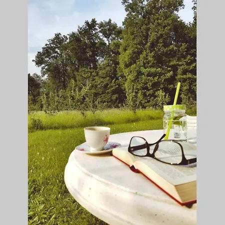 Eli, Belosavci With The View * Topola