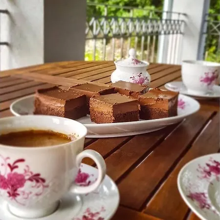 Eli, Belosavci With The View *