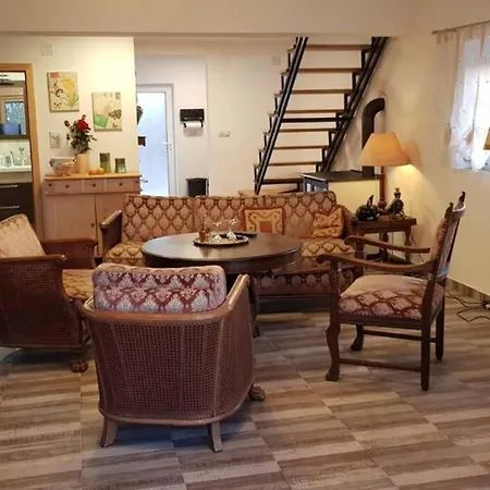 Eli, Belosavci With The View *