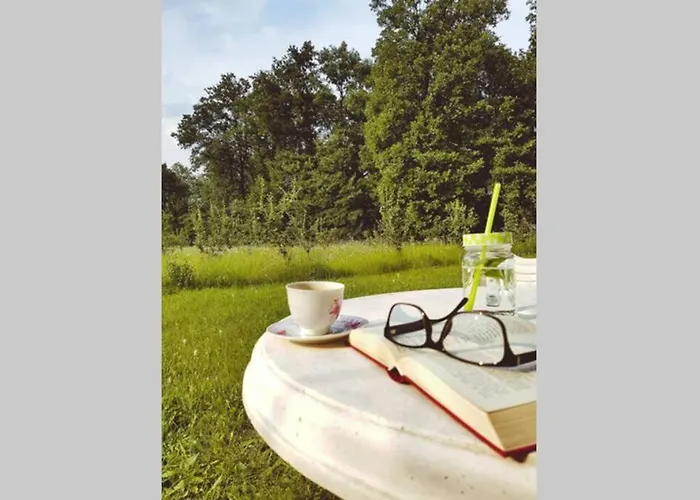 Eli, Belosavci With The View * Topola