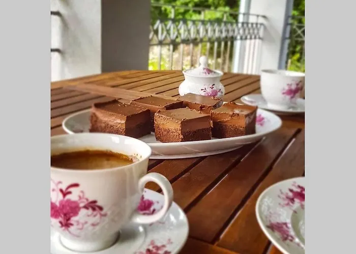 Eli, Belosavci With The View *