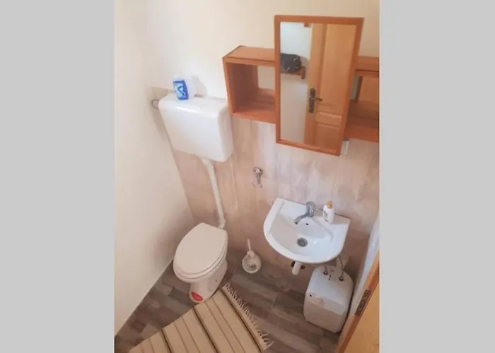 Eli, Belosavci With The View